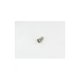 Vis de fixation M6x15 pour Certivac