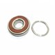 Roulements (x2) 6306 2RSR pour pompe Aral C-1500 5,5 CV