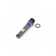 Sonde 3 en 1 Blue Connect Go (température, pH, Redox)
