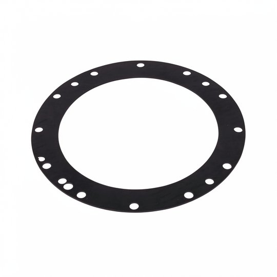 Joint de cellule NEOLYSIS EPDM