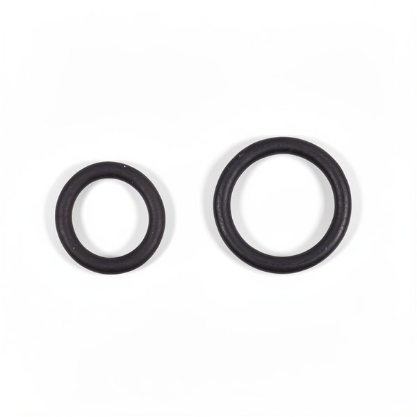 Kit joints toriques de lampe UV (x2) HELIOX LP