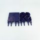 Brosses CN Bleue (x2)