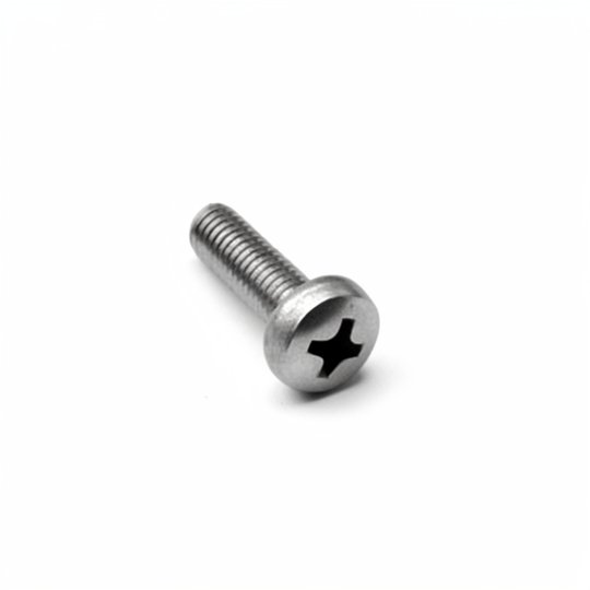 Vis à tête bombée M5x12 v2a