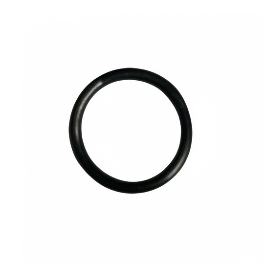 Joint torique bouchon sonde or (20x2,4mm)