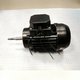 Moteur 0,5 CV Tri
