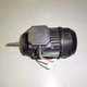 Moteur 0,75 CV Tri