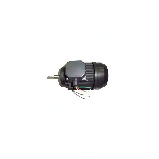 Moteur 0,75 CV Tri