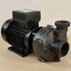 Pompe de spa Niagara mono-vitesse 2 CV avec raccords unions