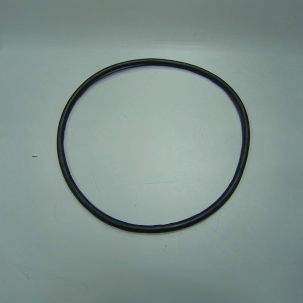 Joint torique 230x8 mm PPE Trent