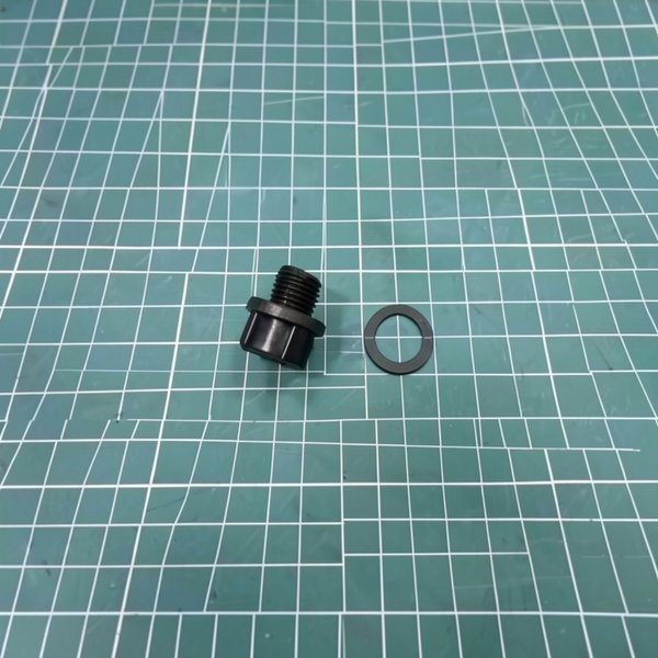 Bouchon de purge 1/4" + joint