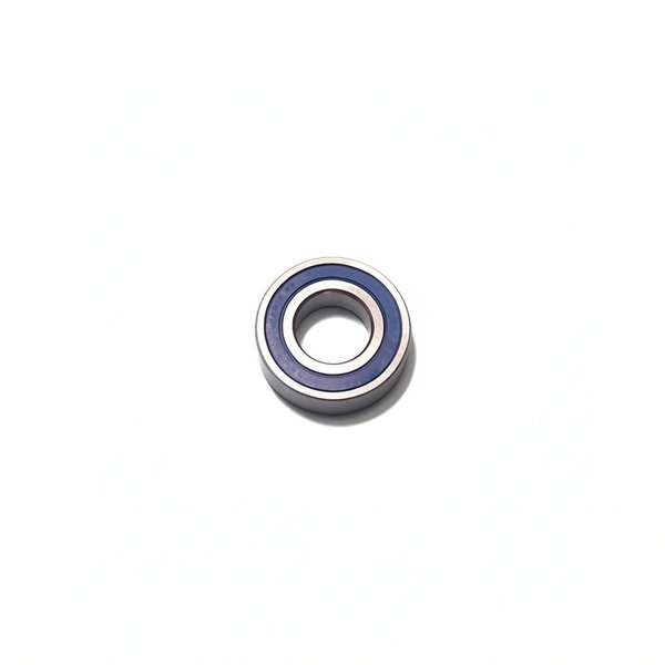 Roulement inox 316L 62x30x16