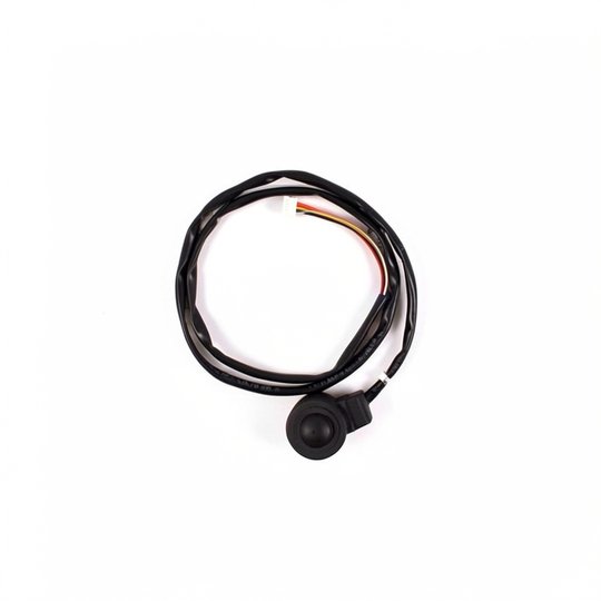 Bobine EEV Z250