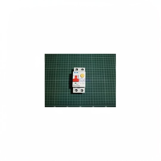 Disjoncteur MP100