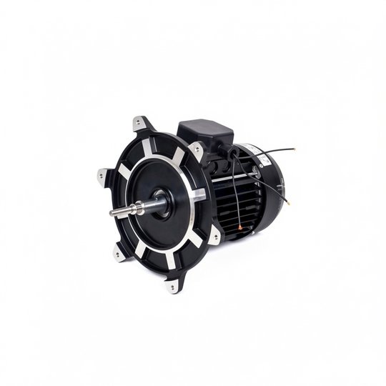 Moteur 0,75 CV Tri