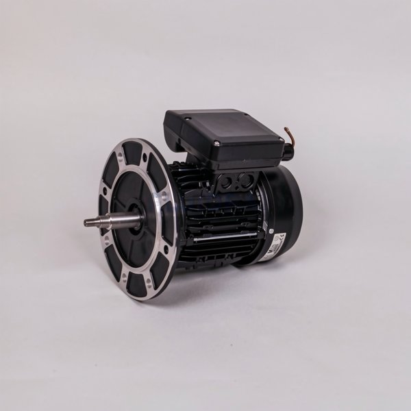 Moteur 1 CV Mono