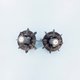 Epurateur cyclonique noir/gris (x2)