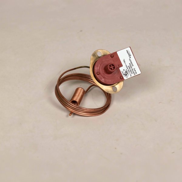 Interrupteur thermique manuel