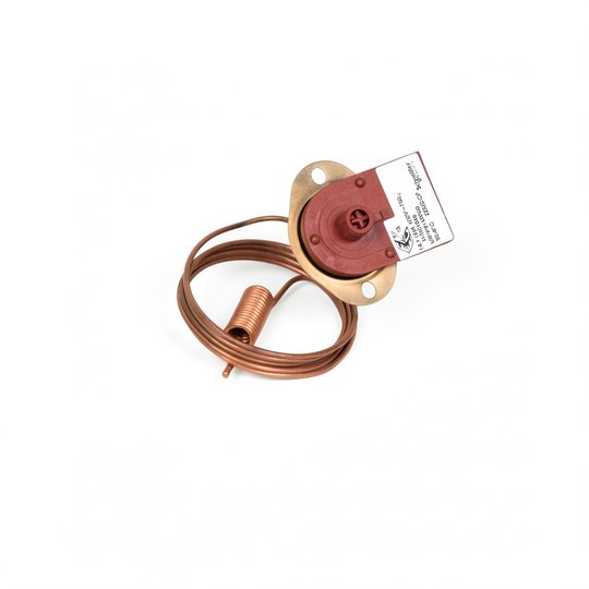 Interrupteur thermique manuel