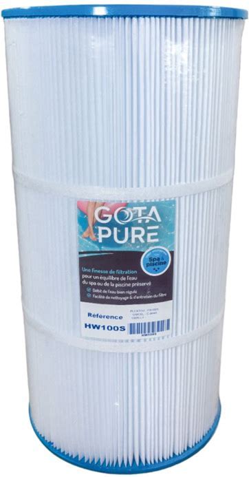 Filtre à Cartouche SWIMCLEAR Mono