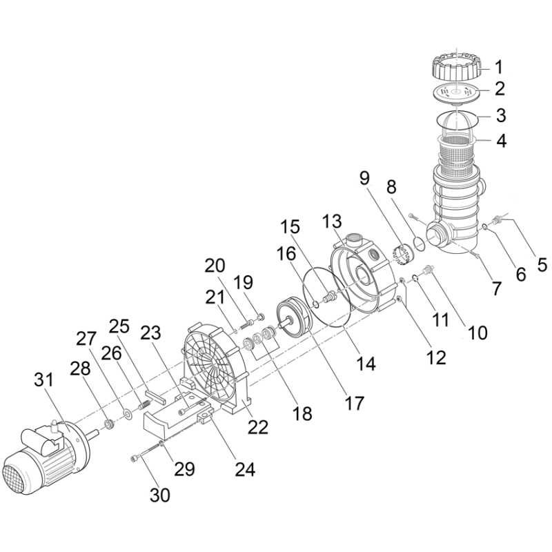 Pompe BADU FA 42/13 à 42/30