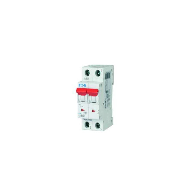 Disjoncteurs courbe D (PAC mono)