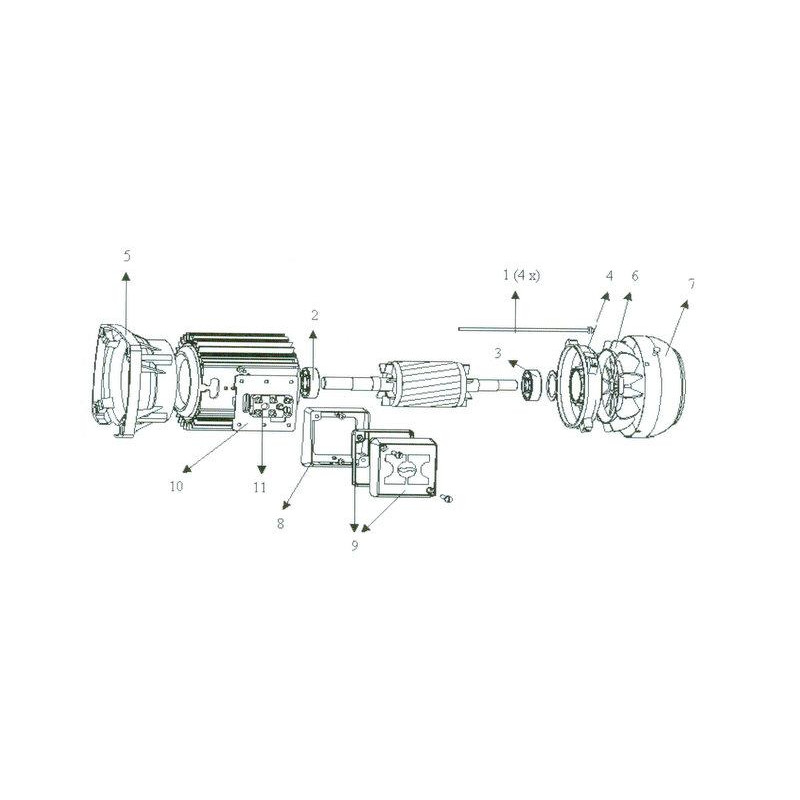 Moteur de pompe Sta-Rite Hanning